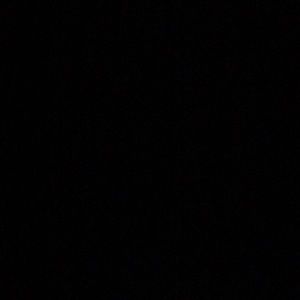 Meet your Posher, Evelyn